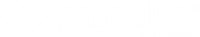 Palo Alto White Logo